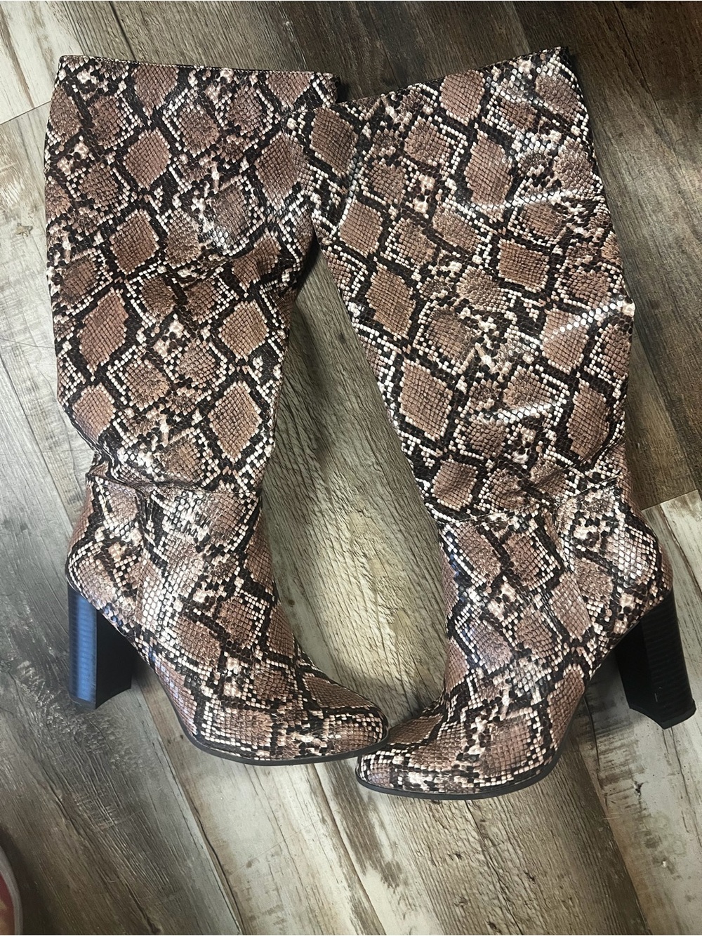 Target Snakeskin Over-the-Knee Boots in Brown and Black